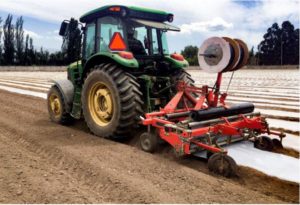 Figure 1. Equipment used for shaping beds and laying plastic mulch and drip tape.
