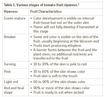 Figure 1. The development of flowers and setting of fruit is evidence of generative plant growth.