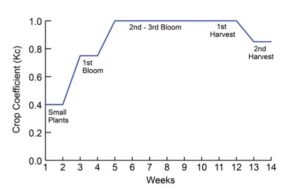Figure 2. Crop coefficients for Florida-grown tomatoes at various stages of growth/production.6