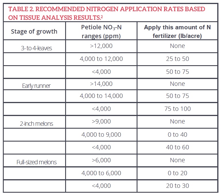 Watermelon Nutrient Analysis