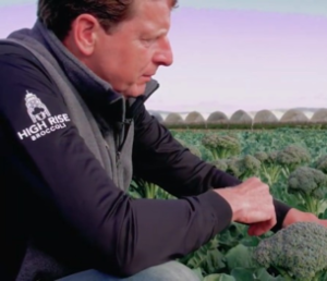 Meindert Boon, Brassica Breeder