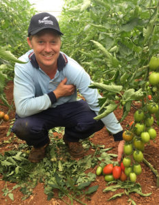 Daniel Hoffman shows off his Seminis Malinche Tomatoes