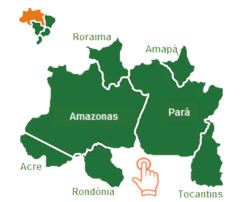 /content/bayer-vegetables/br/pt-br/contate/pontos-de-venda-brasil/regiao-norte