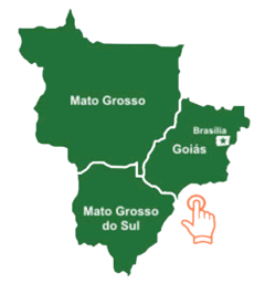 /content/bayer-vegetables/br/pt-br/contate/pontos-de-venda-brasil/regiao-centro-oeste