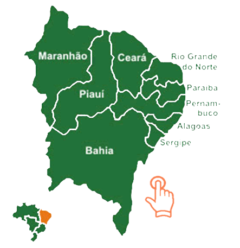 /content/bayer-vegetables/br/pt-br/contate/pontos-de-venda-brasil/regiao-nordeste