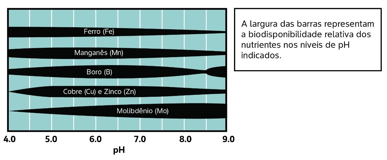 A largura das barras representam a biodisponibilidade relativa dos nutrientes nos níveis de pH indicados. Ferro (Fe) Manganês (Mn) Boro (B) Cobre (Cu) e Zinco (Zn) Molibdênio (Mo)