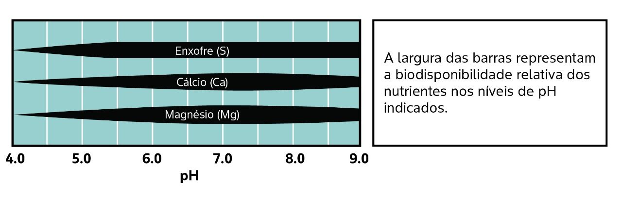 A largura das barras representam a biodisponibilidade relativa dos nutrientes nos níveis de pH indicados. Enxofre (S) Cálcio (Ca) Magnésio (Mg)