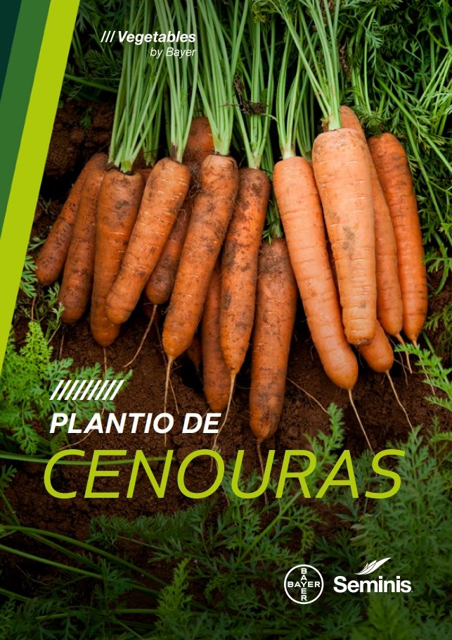 https://www.vegetables.bayer.com/br/pt-br/recursos/noticias/bayer-seminis-disponibiliza-manual-de-plantio-de-cenouras-para-a/_jcr_content/root/responsivegrid/responsivegrid/image.coreimg.jpeg/1765288780936/captura-de-tela-9-12-2025-10355-.jpeg