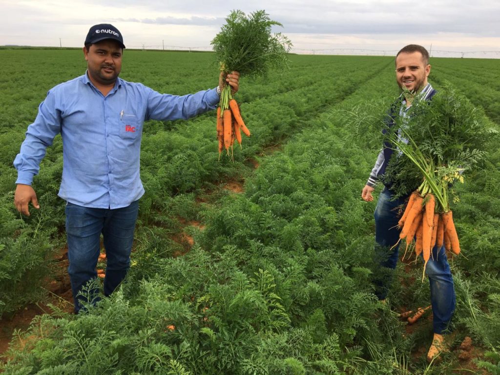 SV7390DT na propriedade de Jorge Fukuda.