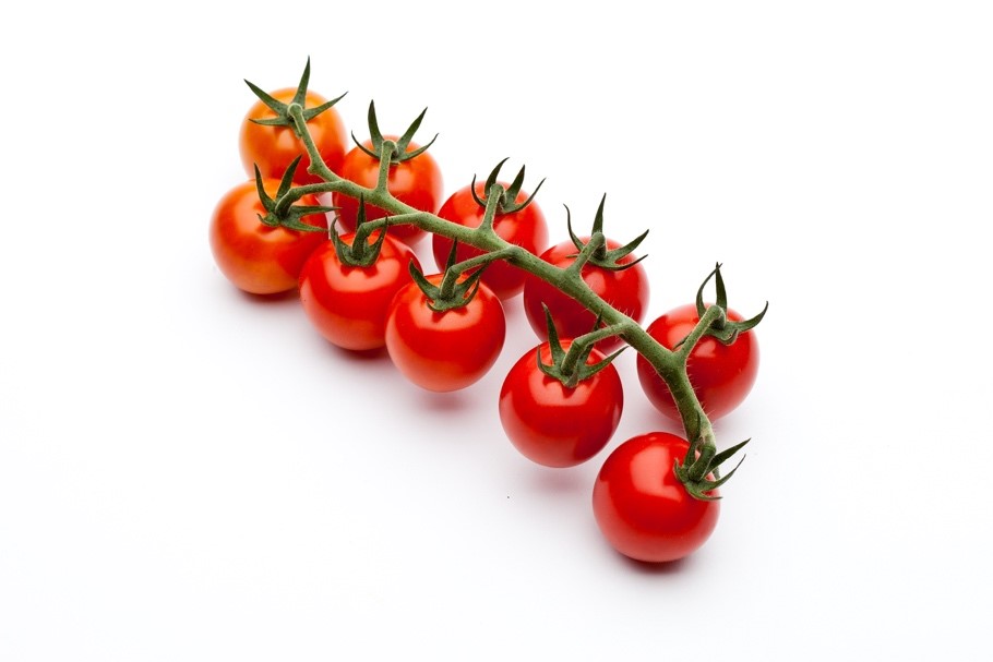 O tomate DRC564 possui características semelhantes ao Santawest, porém, é vendido em pencas