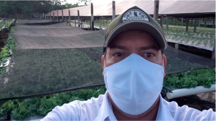 Lindomar tem feito teste de produção de Alface Lucy Brown sem a cobertura do plástico da estufa, somente com um telado e tem obtido um excelente resultado.