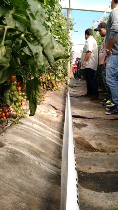 Visita técnica durante os meses de Junho/17 e Julho/17