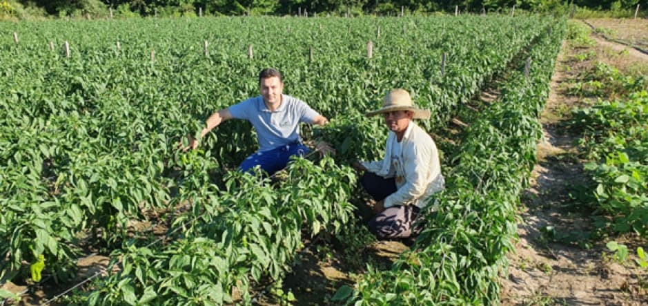 José dos Reis, produtor satisfeito com o semeio do pimentão SV1634PH.