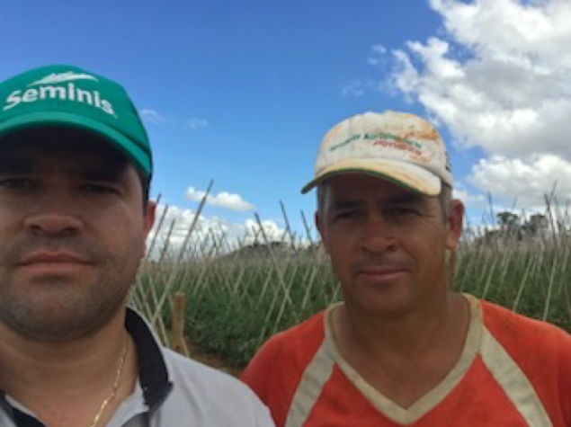Mateus Mendonça, da Seminis, e Valdecir Pereira, produtor de Tomate Cienaga em Minas Gerais.