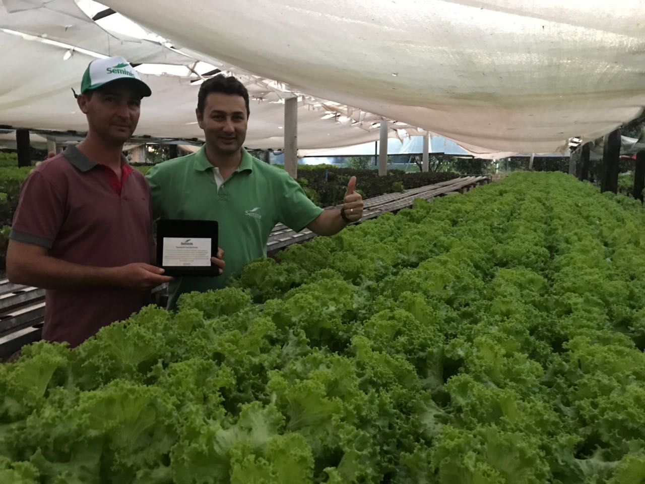 Vanderlei começou sua trajetória com apenas 16 anos e, hoje, é um dos principais produtores de Nova Mutum – MT