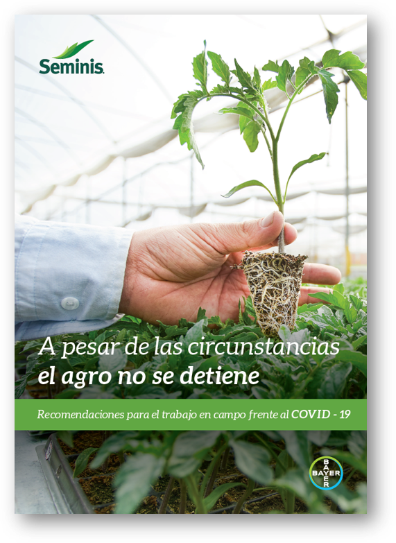 Haz click y descarga este manual