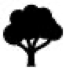 Árvore