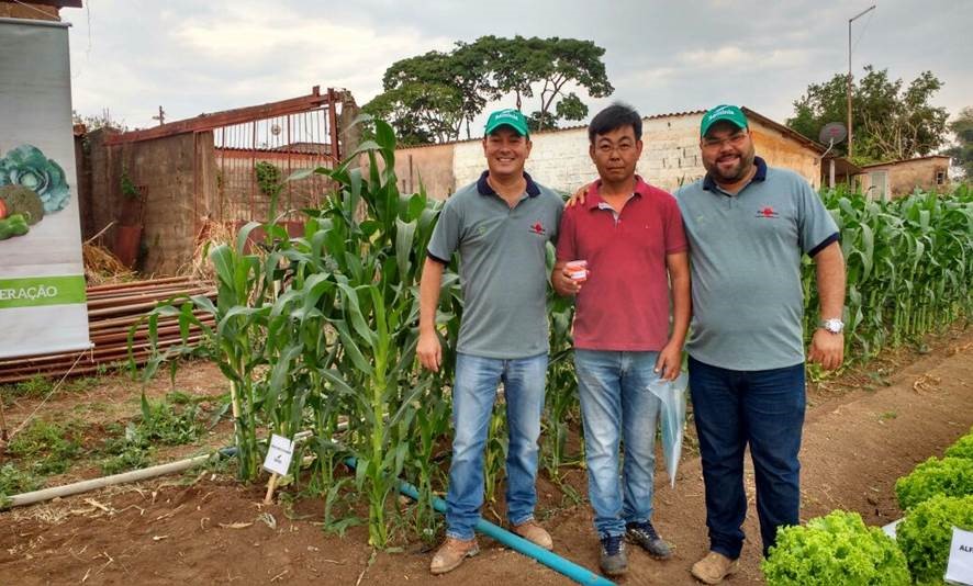 Milho Doce Seminis é apresentado como rotação de cultura em Brasília.
