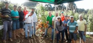 Tour de produtores em campos produção de tomate Compack.