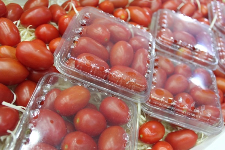 Tomate Santawest: possui sabor mais adocicado e é ideal para consumir como aperitivo.