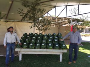 Equipe da Casa Bugre São Paulo, distribuidor Seminis para o estado, na Festa da Melancia.