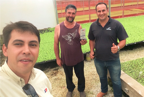 Thiago (Tecseed), Plinio (Viveiro Guarise) e William (Seminis).