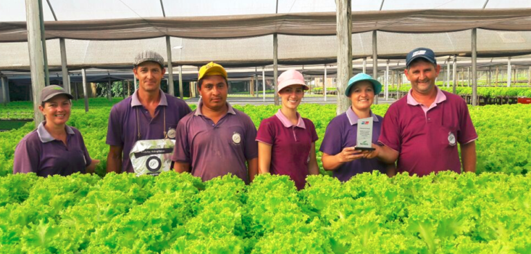 Equipe – Hidroponia Paravisi.