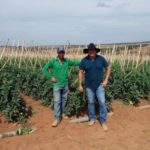 O produtor Nicanor, com o gerente da Seminis, Fernando, em Alexânia – GO.