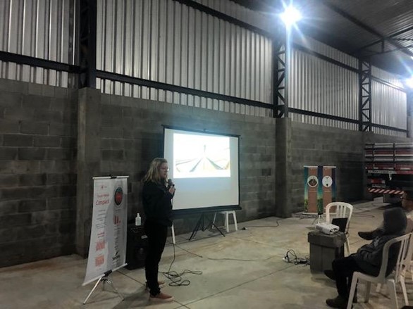 Tomate Compack: desempenho, rendimento e produtividade no campo. 