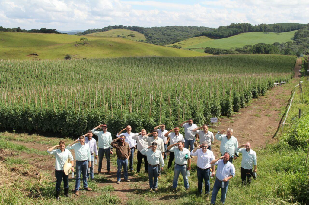 Participantes do evento visitam campo com plantação de tomates.