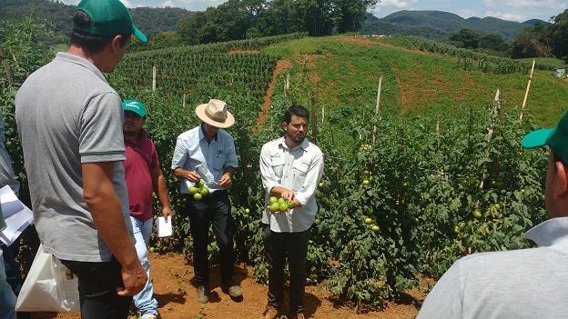 Treinamento sobre tomate Coronel SVTH0361 em Guapiara/SP