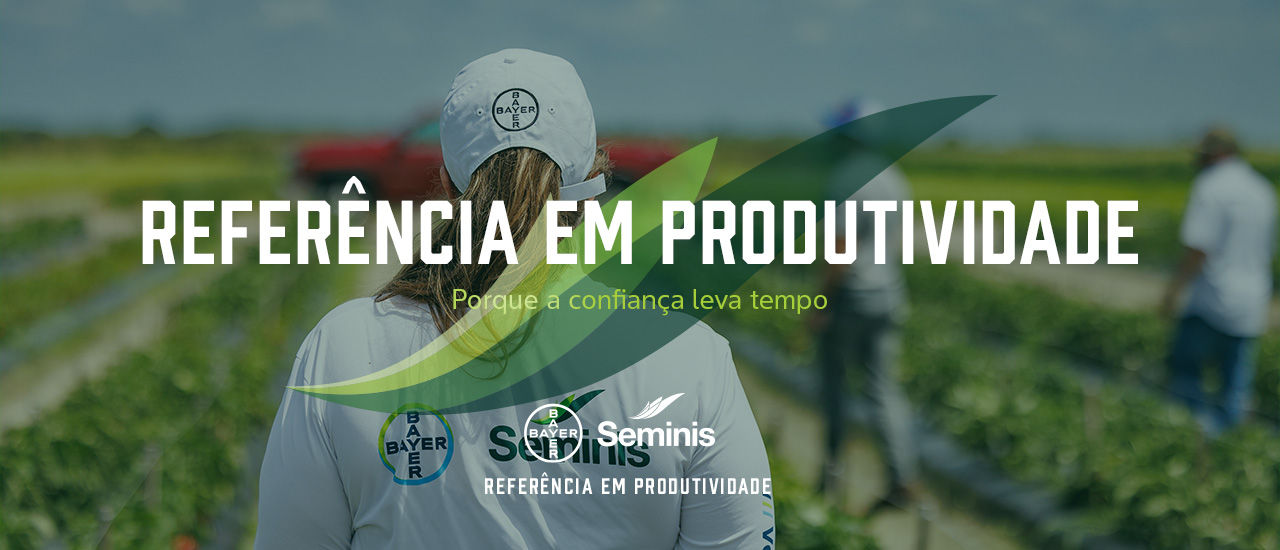 Referência em Produtividade