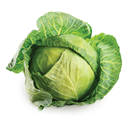 Cabbage
