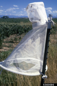 Figure 2. Pheromone trap for corn earworm. Eugene E. Nelson, Bugwood.org.