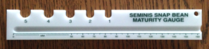Figure 1. A gauge used to evaluate the sieve size of bean pods
