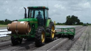 Figure 2. Strip fumigation of raised beds. The fumigant is being applied by the tractor in front, and the plastic mulch is laid by the second tractor.