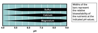 Figure 1. The effect of pH on the plant availability of three secondary macronutrients.
