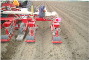 Figure 2. Seeding carrots on raised beds with a vacuum seeder with 3 seed lines per bed.