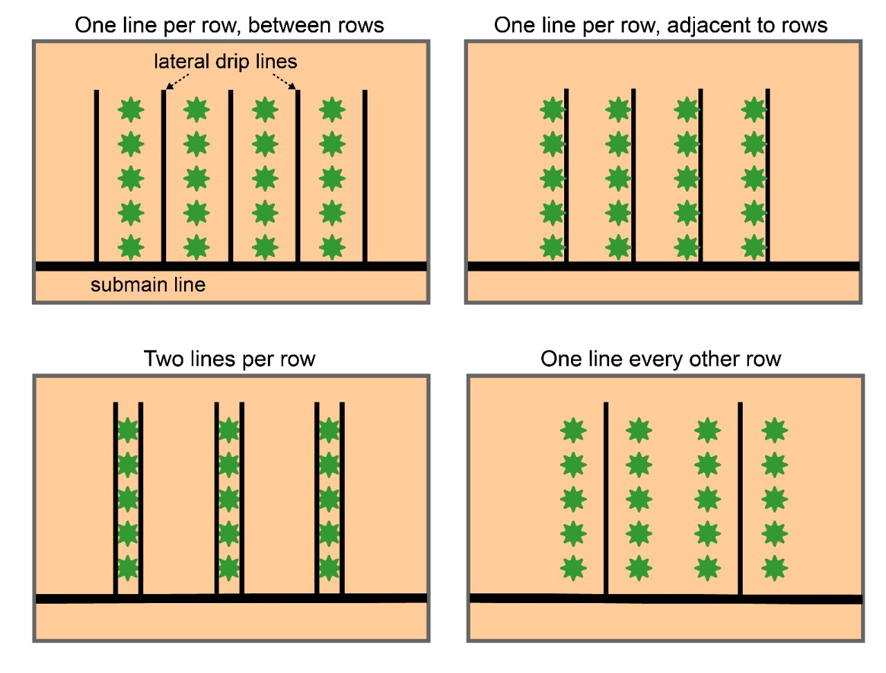 Diagram of Drip Line Layouts