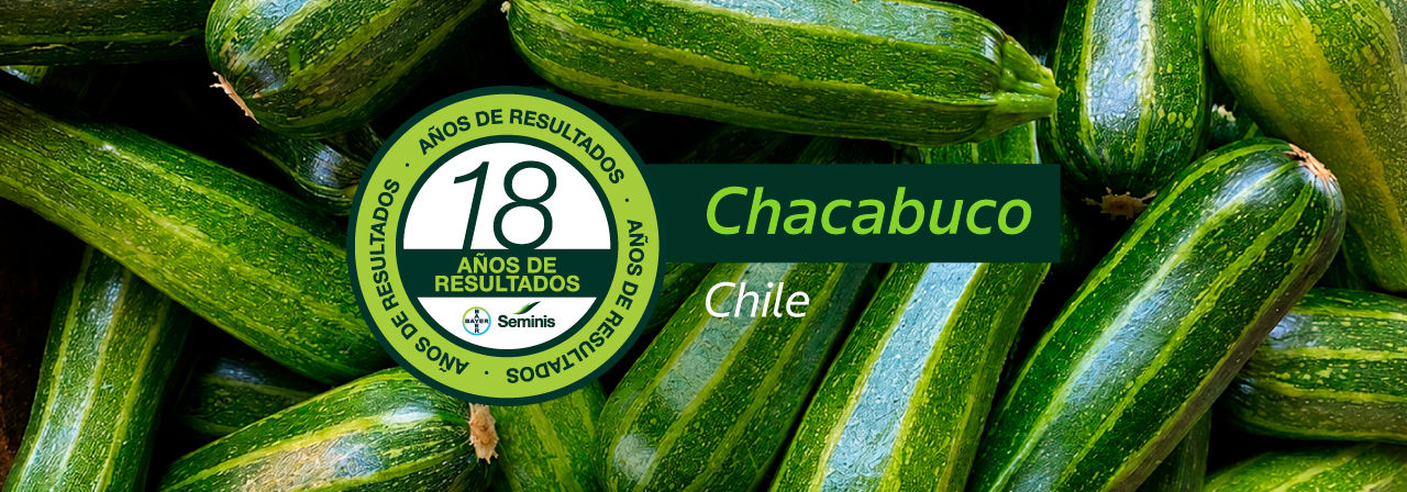 /content/dam/bayer-vegetables/spanish/chile-south-america/camapaña-seasoned-vegetables/landing-pages/landing-page-3/variedades-conosur/Banner-zapallo_Chacabuco.jpg