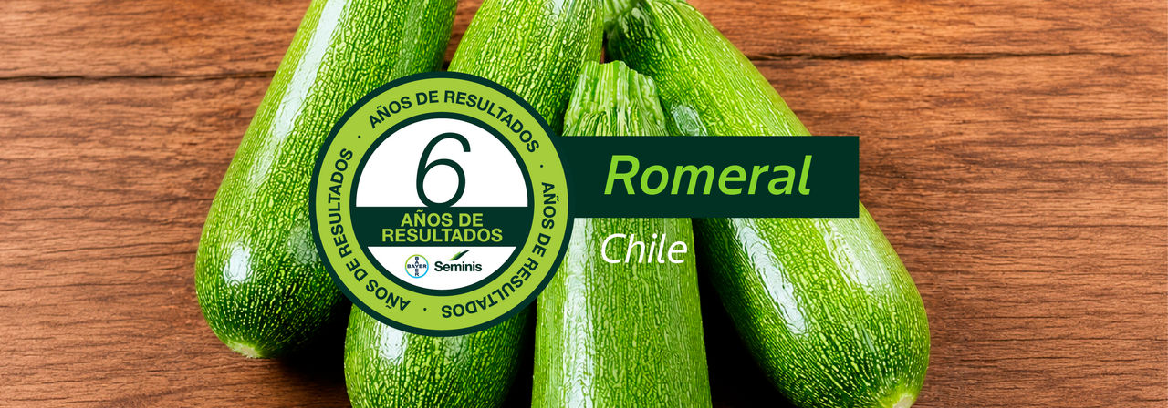 /content/dam/bayer-vegetables/spanish/chile-south-america/camapaña-seasoned-vegetables/landing-pages/landing-page-3/variedades-conosur/Banner%20zapallo_Romeral.jpg
