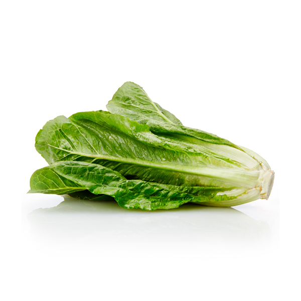 Lettuce