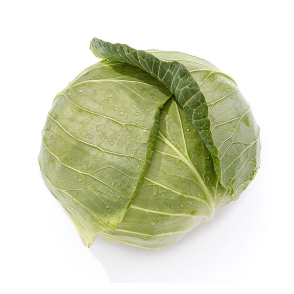 cabbage