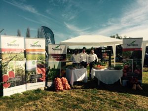 Stand Seminis en Día del Tomate 2017