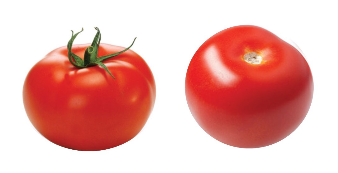 Figura 1: El tomate de la izquierda tiene parte del tallo de la fruta y el cáliz unidos, mientras que el tomate de la derecha no.