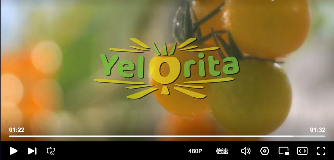 Yelorita