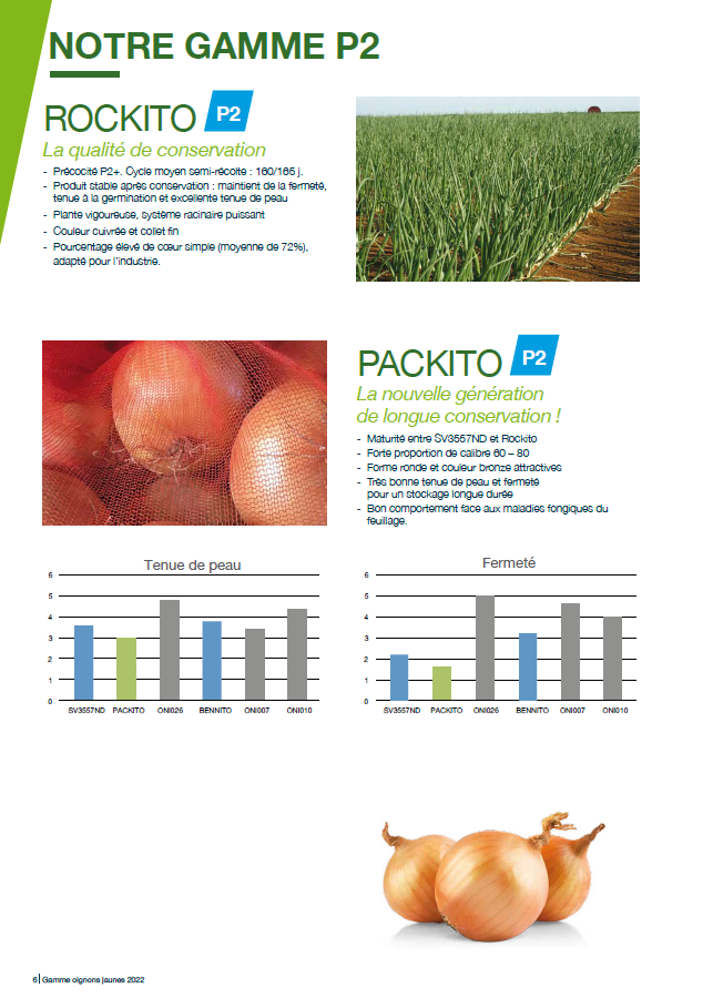 Catalogue Oignons 2023 Seminis
