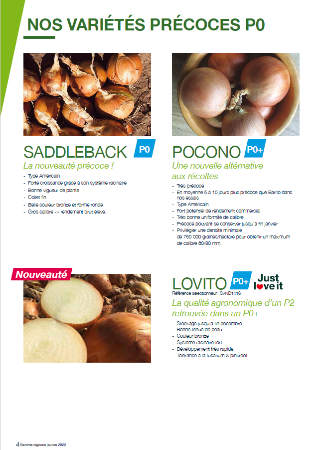 Catalogue Oignons 2023 Seminis