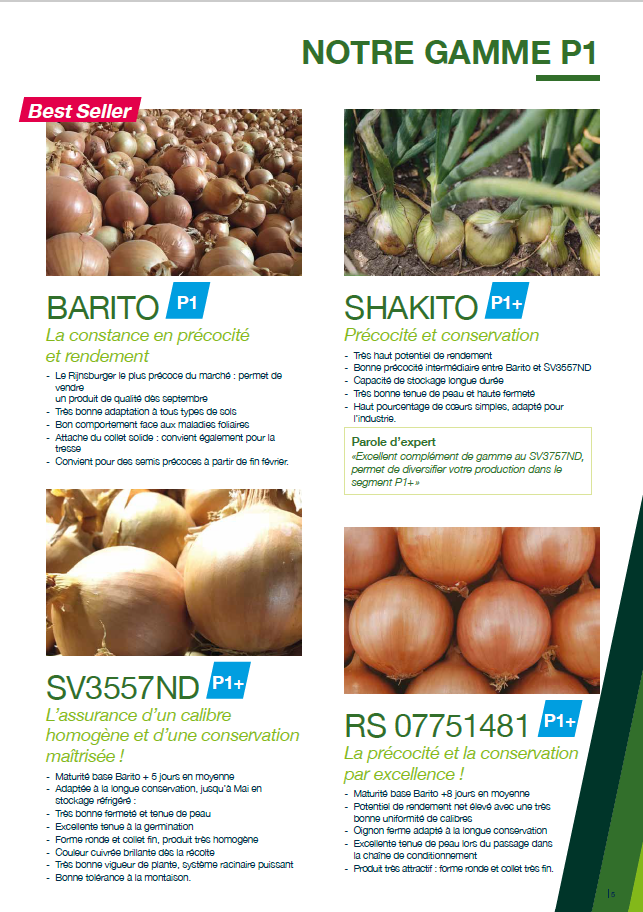 Catalogue Oignons 2023 Seminis