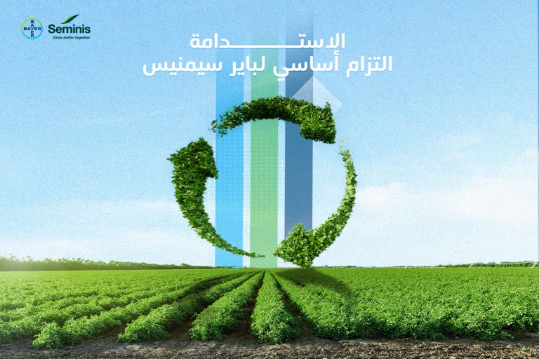 دليلك عن الزراعة المستدامة: كل ما تحتاج معرفته عن الاستدامة الزراعية في المحاصيل
